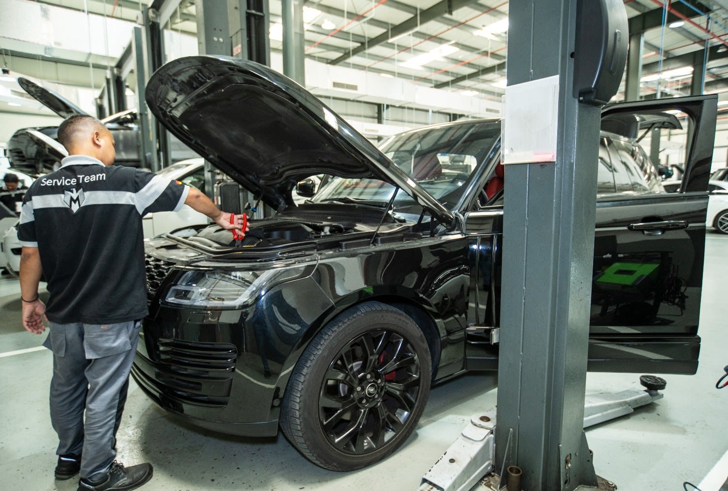 Range Rover problems